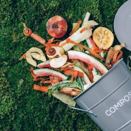 Food Processing & Waste Valorization